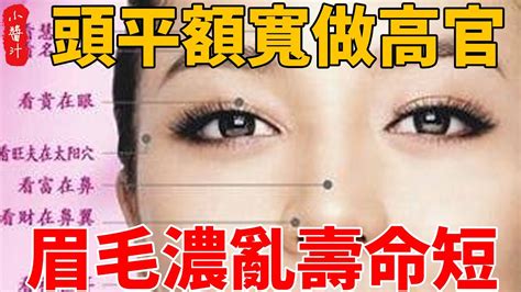 眉毛亂長|眉毛決定壽命長短！稀疏、上翹恐是罹癌前兆，必學護眉4招護健康